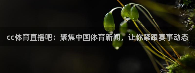 河豚在线：cc体育直播吧：聚焦中国体育新闻，让你紧跟赛事动态