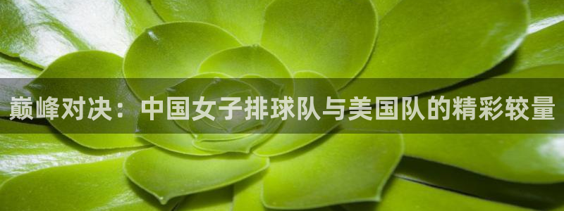 河豚足球比赛直播：巅峰对决：中国女子排球队与美国队的精彩较量