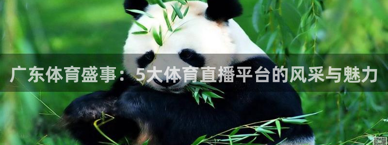 河豚体育nba直播：广东体育盛事：5大体育直播平台的风采与魅力