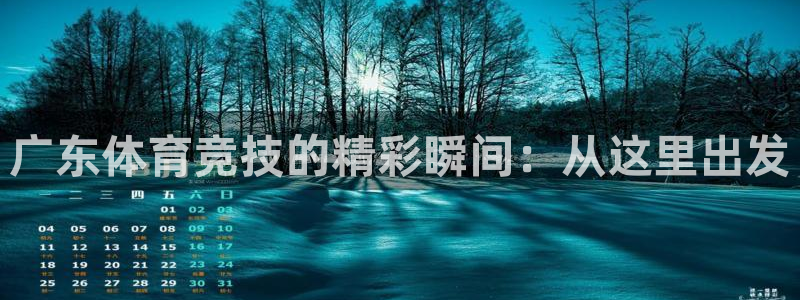 河豚直播nba免费观看：广东体育竞技的精彩瞬间：从这里出发