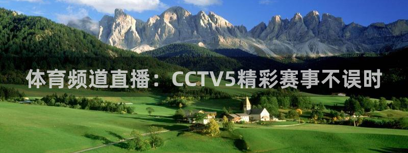 河豚河豚：体育频道直播：CCTV5精彩赛事不误时