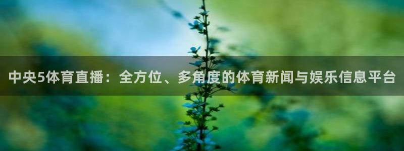 河豚体育直播免费下载：中央5体育直播：全方位、多角度的体育新闻与娱乐信息平台