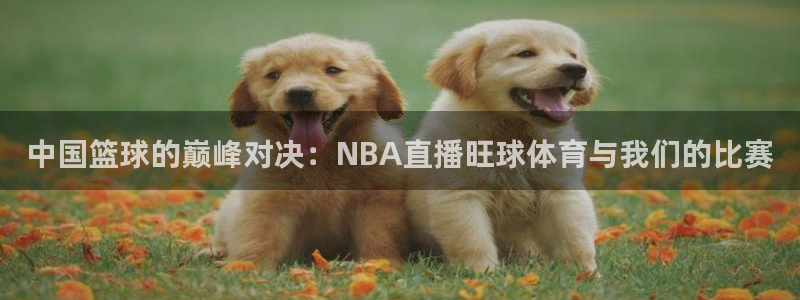 nba直播河豚：中国篮球的巅峰对决：NBA直播旺球体育与我们的比赛
