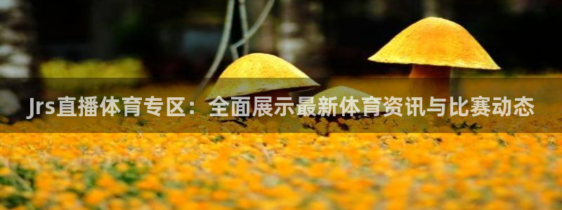 河豚体育直播在线播放：Jrs直播体育专区：全面展示最新体育资讯与比赛动态