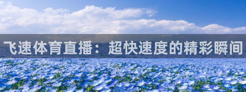 河豚面：飞速体育直播：超快速度的精彩瞬间