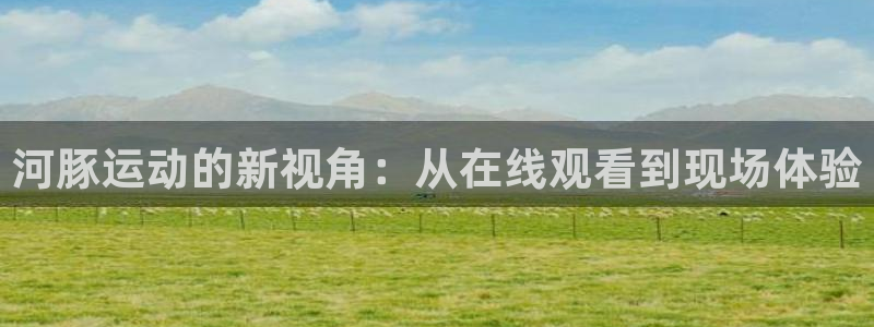 河豚在线直播nba：河豚运动的新视角：从在线观看到现场体验
