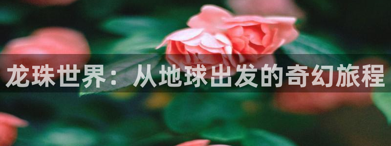 河豚体育赛事直播