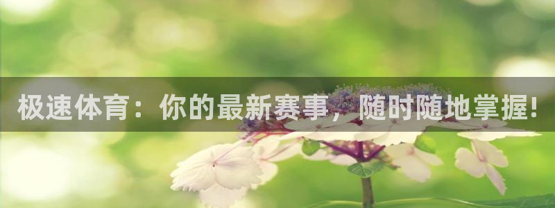 河豚体育直播看球app：极速体育：你的最新赛事，随时随地掌握!