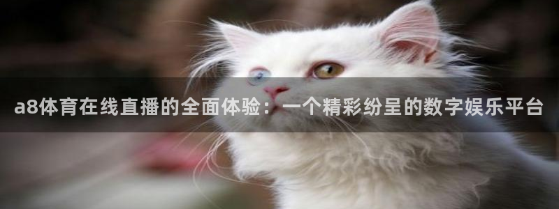 河豚足球直播：a8体育在线直播的全面体验：一个精彩纷呈的数字娱乐平台