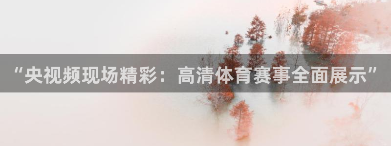 河豚体育nba直播下载：“央视频现场精彩：高清体育赛事全面展示”